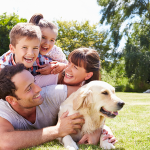 The Top Reasons Dogs Make Great Family Pets