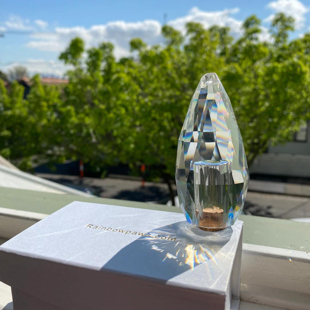 memorial crystal sitting by the window glistening in the sun