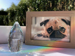 Load image into Gallery viewer, Rainbow Crystal Pet Keepsake Urn - Rainbowpaws Rainbow Crystal
