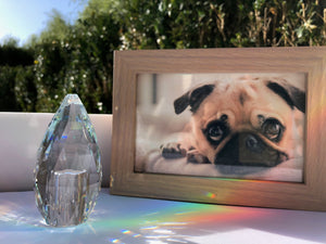 Rainbow Crystal Pet Keepsake Urn - Rainbowpaws Rainbow Crystal